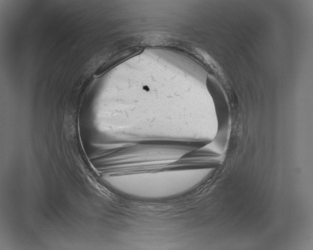 X0000082170393200702092249