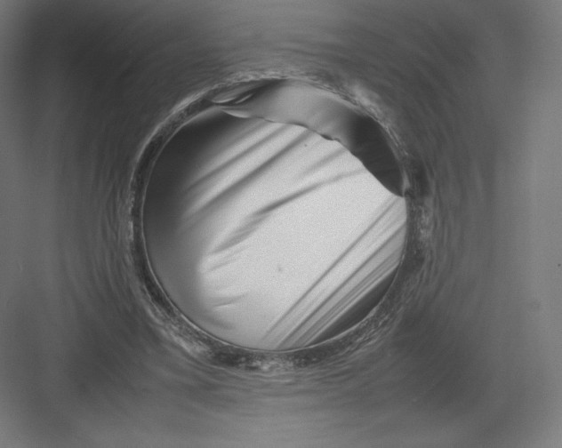 X0000082170395200702092249