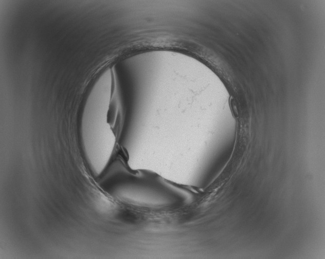 X0000082170397200702092249