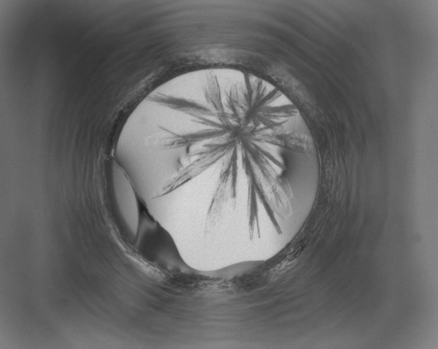 X0000082170398200702092249