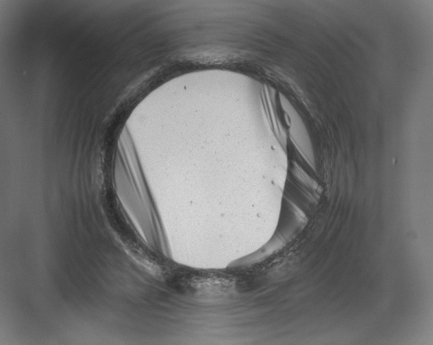 X0000082170400200702092249