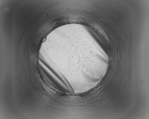 X0000082170401200702092249