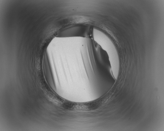 X0000082170403200702092249