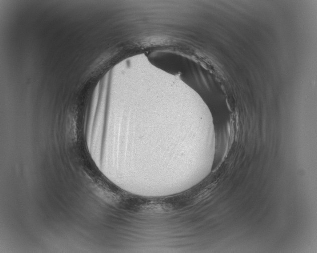 X0000082170404200702092249