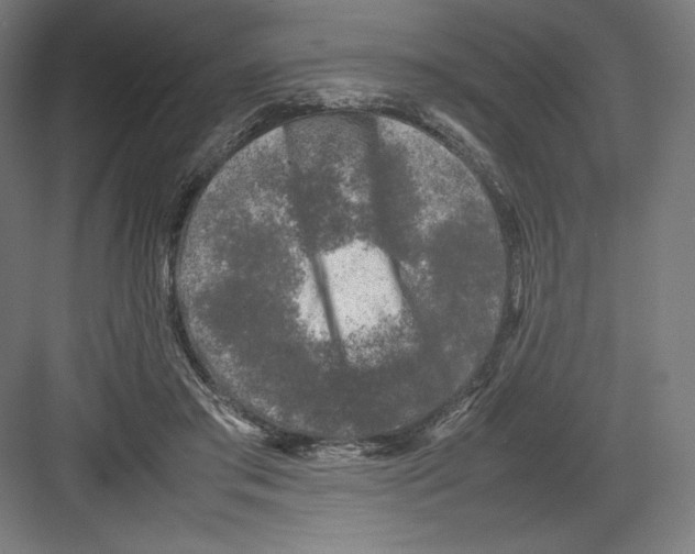 X0000082170405200702092249