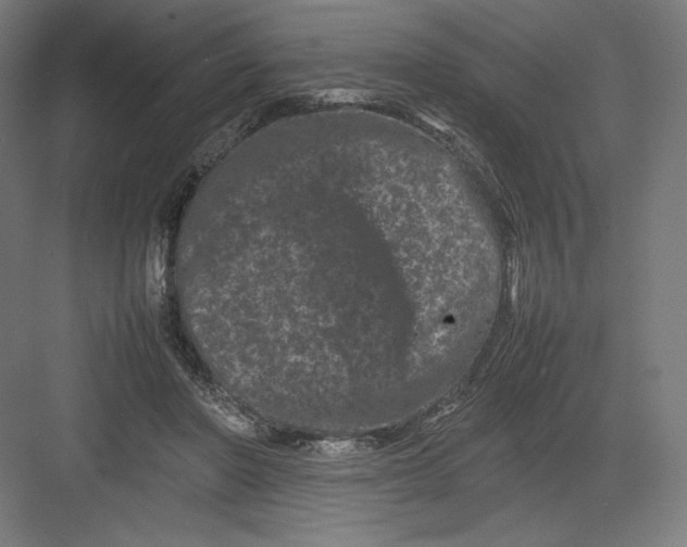 X0000082170406200702092249