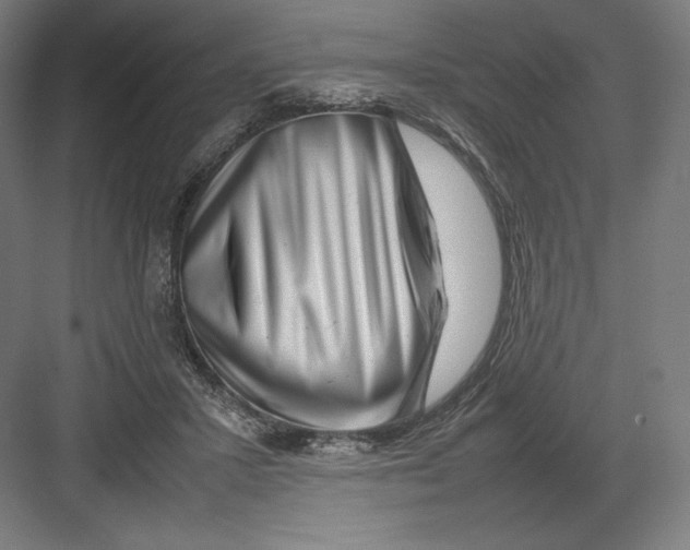 X0000082170407200702092249