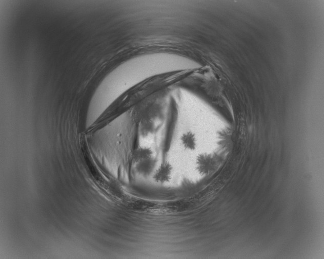 X0000082170408200702092249