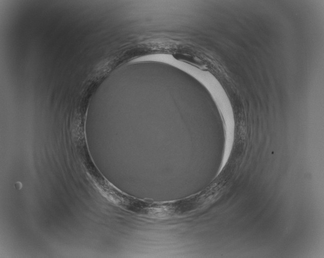 X0000082170411200702092248