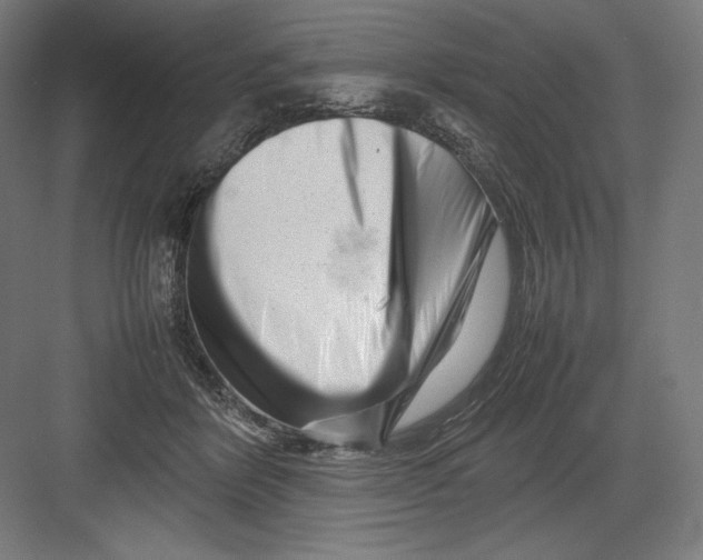 X0000082170412200702092248