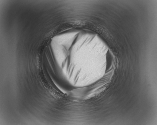 X0000082170416200702092248