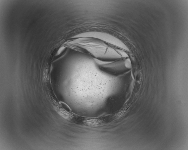 X0000082170417200702092248