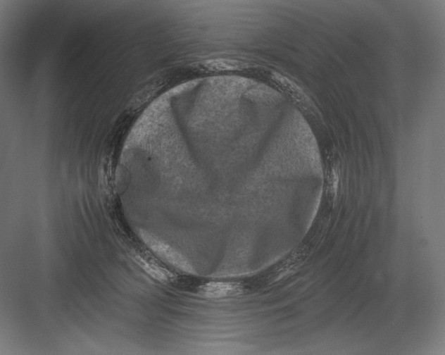 X0000082170418200702092248