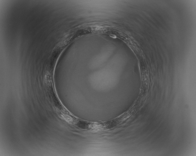 X0000082170419200702092248