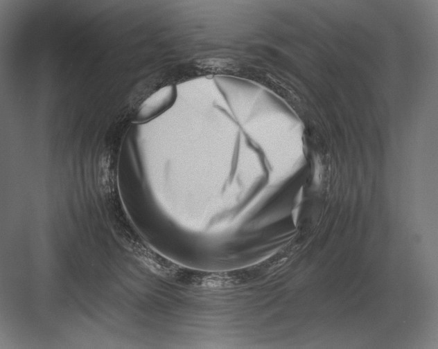 X0000082170420200702092248