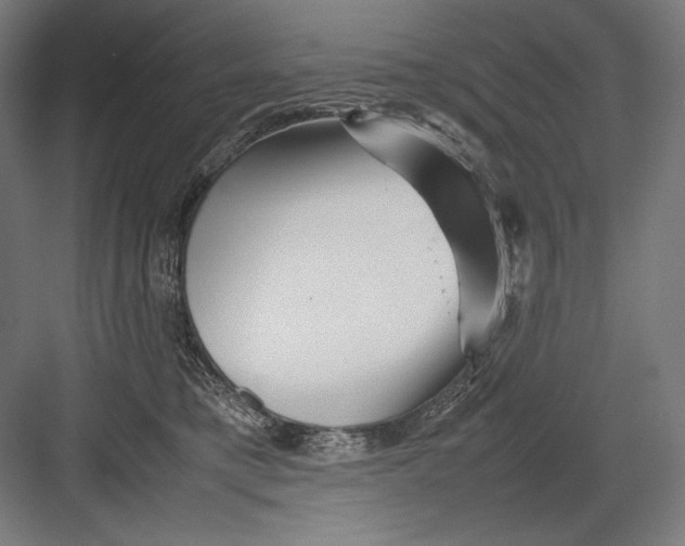 X0000082170421200702092248