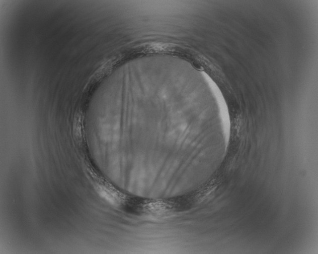 X0000082170423200702092248