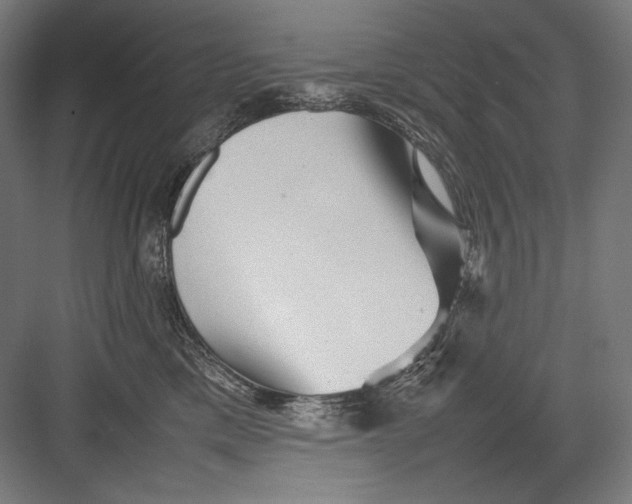 X0000082170425200702092248