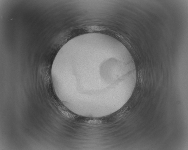 X0000082170426200702092248