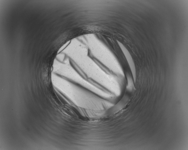 X0000082170428200702092248