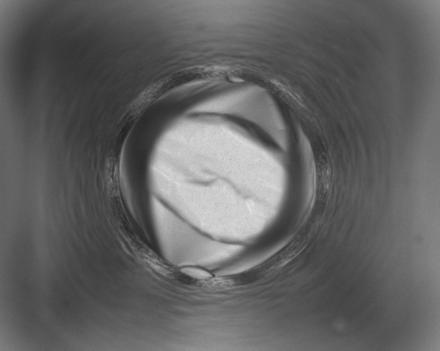 X0000082170429200702092248