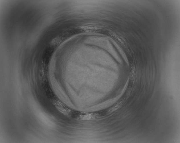 X0000082170430200702092248