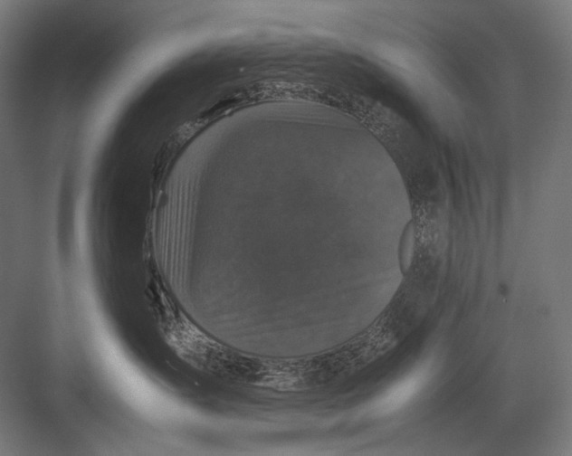 X0000082170431200702092248