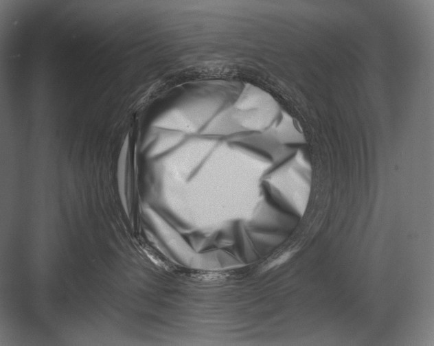 X0000082170432200702092248