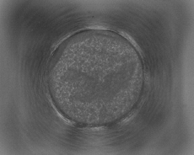 X0000082170433200702092247