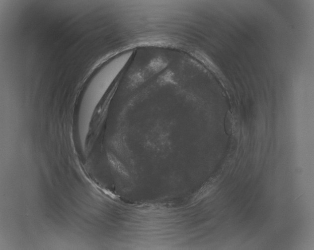 X0000082170434200702092247