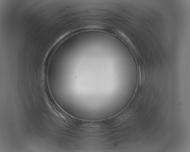 X0000082170435200702092247