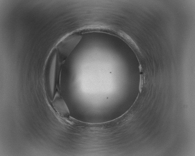 X0000082170436200702092247