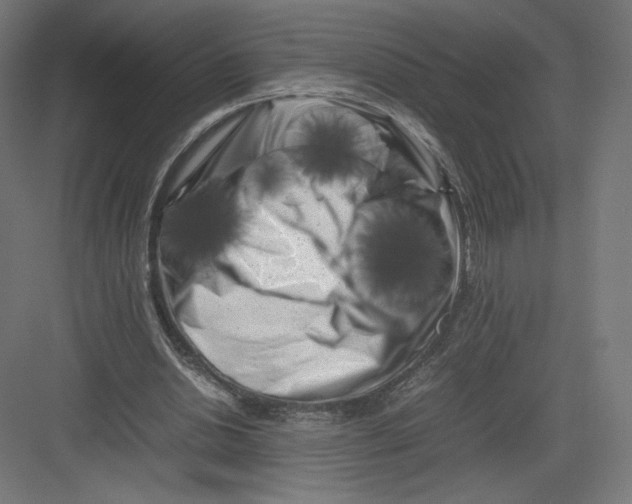 X0000082170438200702092247