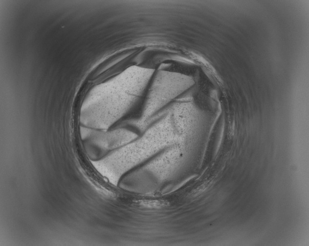 X0000082170439200702092247