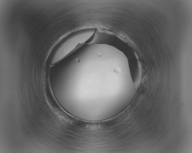 X0000082170440200702092247