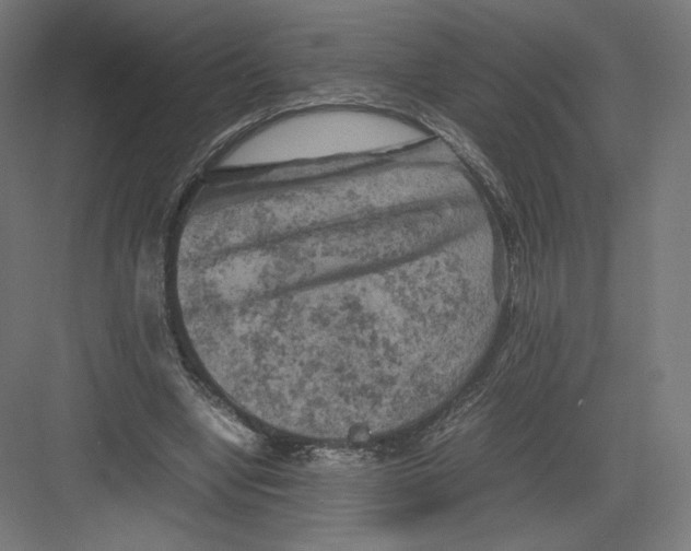 X0000082170442200702092247