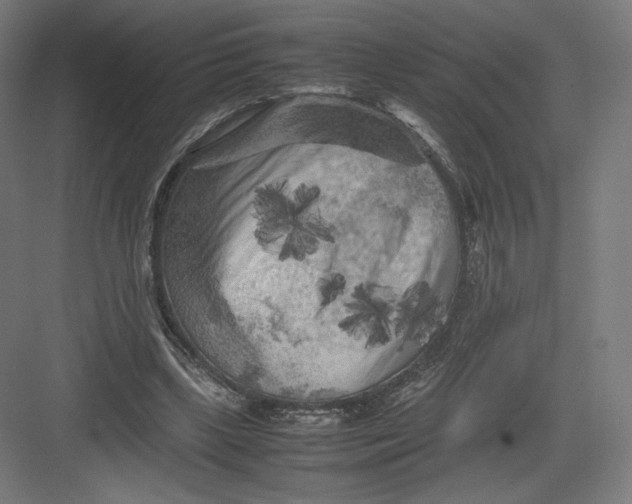 X0000082170443200702092247