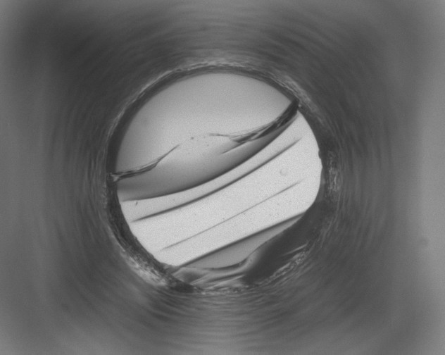 X0000082170444200702092247