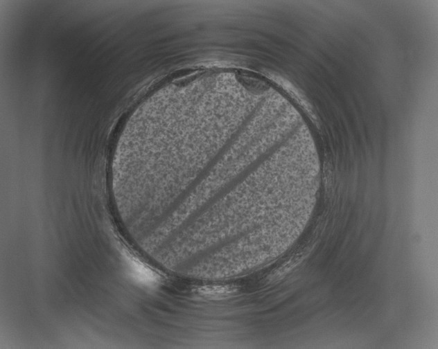 X0000082170445200702092248