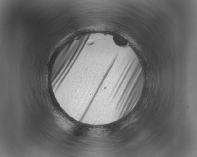 X0000082170446200702092248