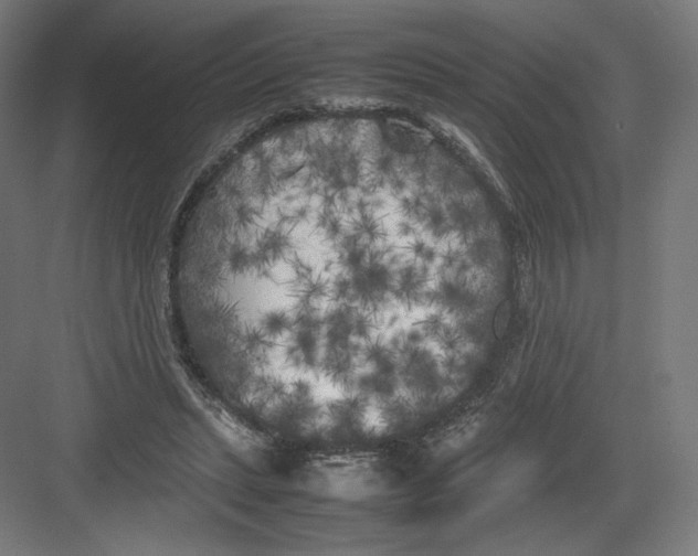 X0000082170447200702092248