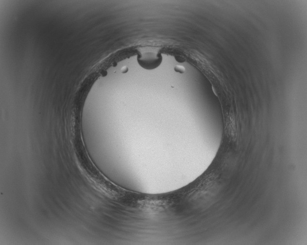 X0000082170448200702092248