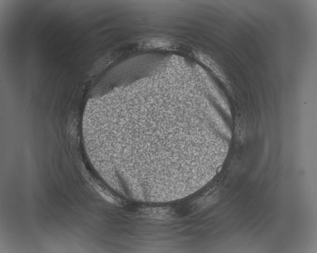 X0000082170449200702092248