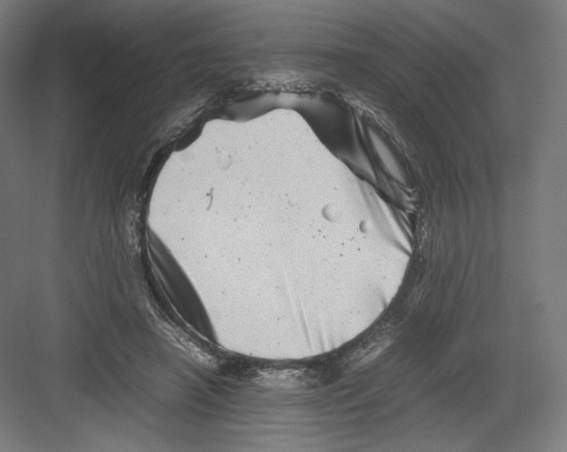 X0000082170450200702092248