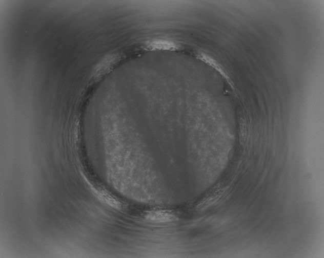 X0000082170451200702092248