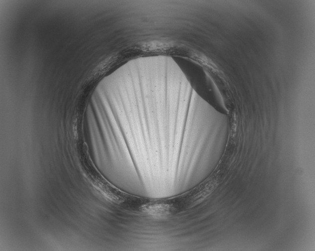 X0000082170452200702092248