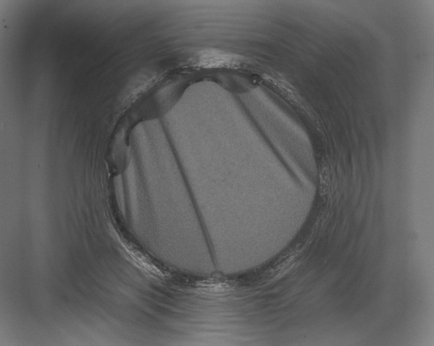 X0000082170454200702092248