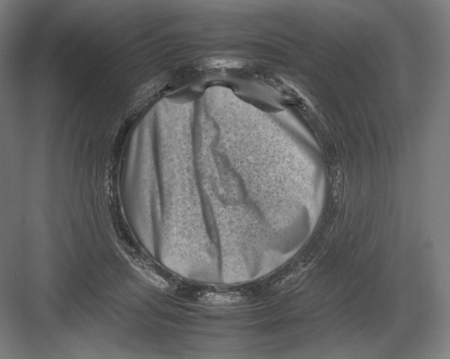 X0000082170455200702092248