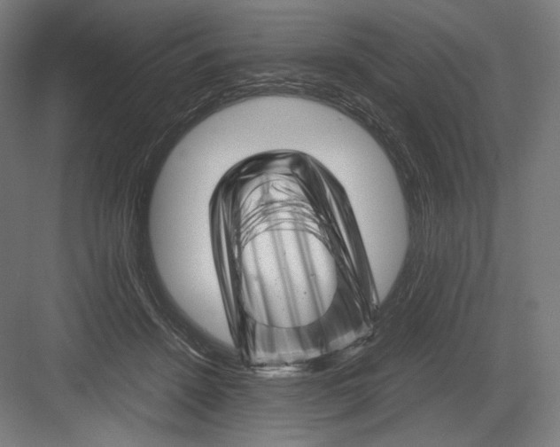 X0000082170456200702092248