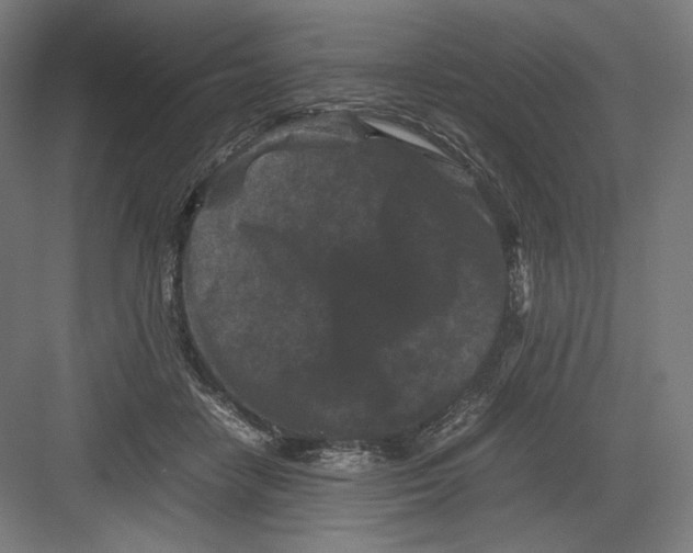 X0000082170458200702092248